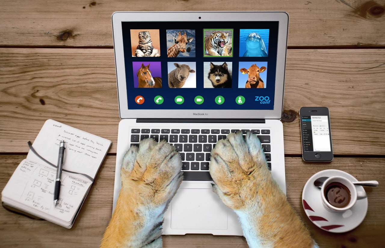 Laptop showing a zoo.com interface with animal photos while a dog types on the keyboard