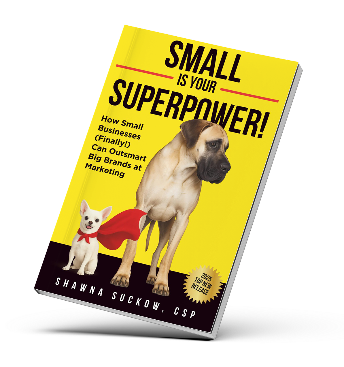 Small is Your Superpower by Shawna Suckow &mdash; #1 Amazon Bestseller