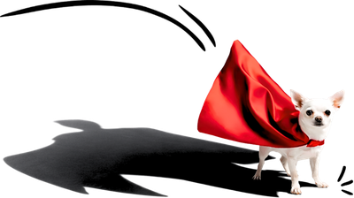 Superdog mascot &mdash; Shawna Suckow brand mascot representing small business superpowers